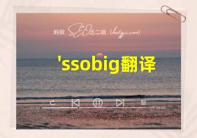 'ssobig翻译