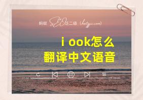 ⅰook怎么翻译中文语音