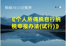 《个人所得税自行纳税申报办法(试行)》