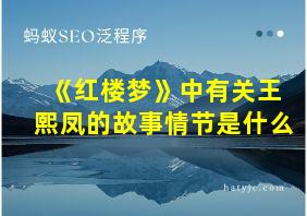 《红楼梦》中有关王熙凤的故事情节是什么