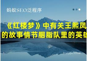 《红楼梦》中有关王熙凤的故事情节胭脂队里的英雄