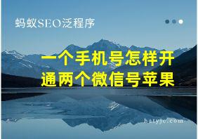 一个手机号怎样开通两个微信号苹果