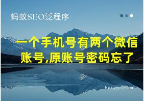 一个手机号有两个微信账号,原账号密码忘了