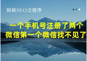 一个手机号注册了两个微信第一个微信找不见了