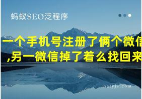 一个手机号注册了俩个微信,另一微信掉了着么找回来