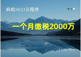 一个月缴税2000万