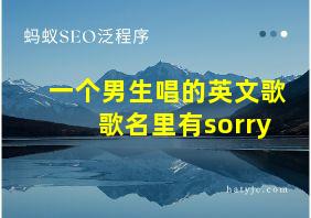 一个男生唱的英文歌歌名里有sorry