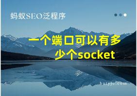 一个端口可以有多少个socket