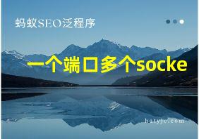 一个端口多个socke