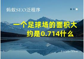 一个足球场的面积大约是0.714什么