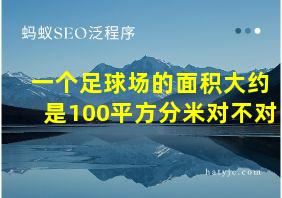 一个足球场的面积大约是100平方分米对不对