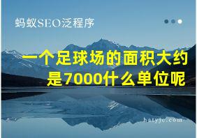 一个足球场的面积大约是7000什么单位呢