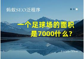 一个足球场的面积是7000什么?