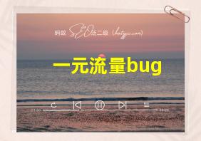 一元流量bug