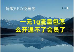 一元1g流量包怎么开通不了会员了