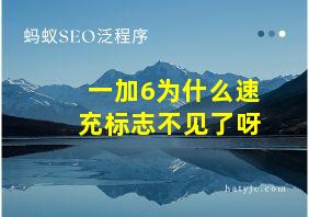 一加6为什么速充标志不见了呀