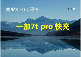 一加7t pro 快充