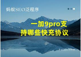 一加9pro支持哪些快充协议