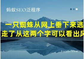 一只蜘蛛从网上垂下来逃走了从这两个字可以看出风