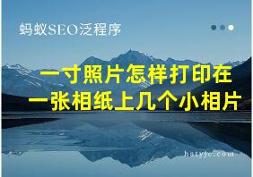 一寸照片怎样打印在一张相纸上几个小相片