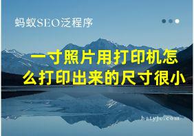 一寸照片用打印机怎么打印出来的尺寸很小