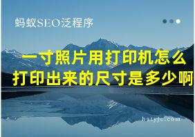 一寸照片用打印机怎么打印出来的尺寸是多少啊