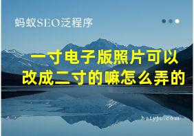 一寸电子版照片可以改成二寸的嘛怎么弄的