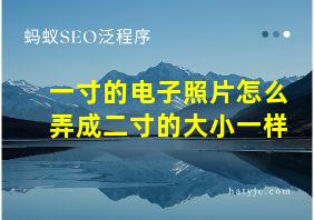 一寸的电子照片怎么弄成二寸的大小一样