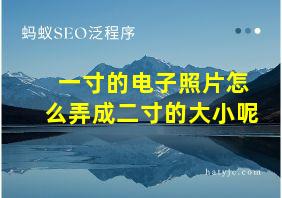 一寸的电子照片怎么弄成二寸的大小呢