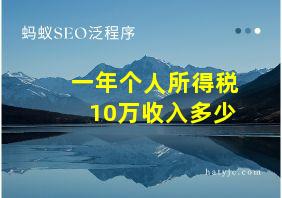 一年个人所得税10万收入多少