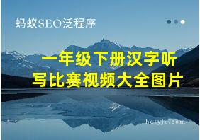 一年级下册汉字听写比赛视频大全图片