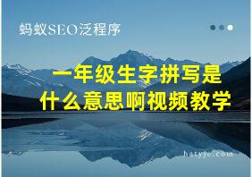 一年级生字拼写是什么意思啊视频教学