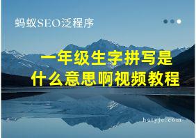 一年级生字拼写是什么意思啊视频教程