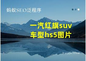 一汽红旗suv车型hs5图片