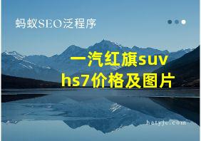 一汽红旗suvhs7价格及图片