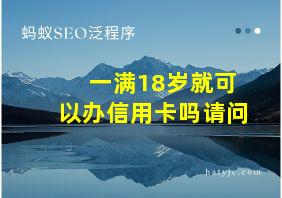 一满18岁就可以办信用卡吗请问