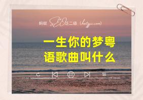 一生你的梦粤语歌曲叫什么