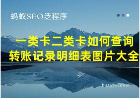 一类卡二类卡如何查询转账记录明细表图片大全