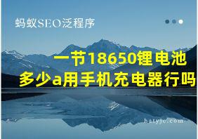 一节18650锂电池多少a用手机充电器行吗