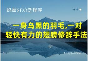 一身乌黑的羽毛,一对轻快有力的翅膀修辞手法