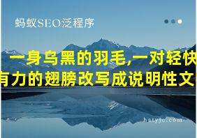 一身乌黑的羽毛,一对轻快有力的翅膀改写成说明性文字