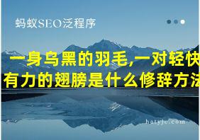 一身乌黑的羽毛,一对轻快有力的翅膀是什么修辞方法