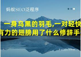 一身乌黑的羽毛,一对轻快有力的翅膀用了什么修辞手法