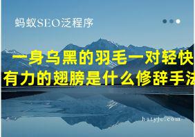 一身乌黑的羽毛一对轻快有力的翅膀是什么修辞手法