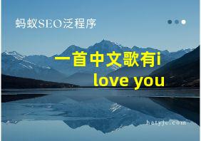 一首中文歌有i love you