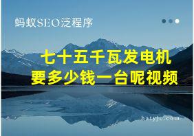 七十五千瓦发电机要多少钱一台呢视频