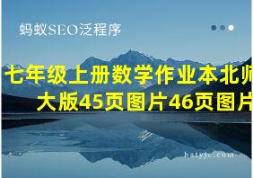 七年级上册数学作业本北师大版45页图片46页图片