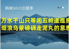 万水千山只等闲五岭逶迤腾细浪乌蒙磅礴走泥丸的意思