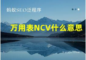 万用表NCV什么意思