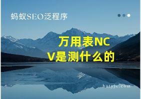 万用表NCV是测什么的